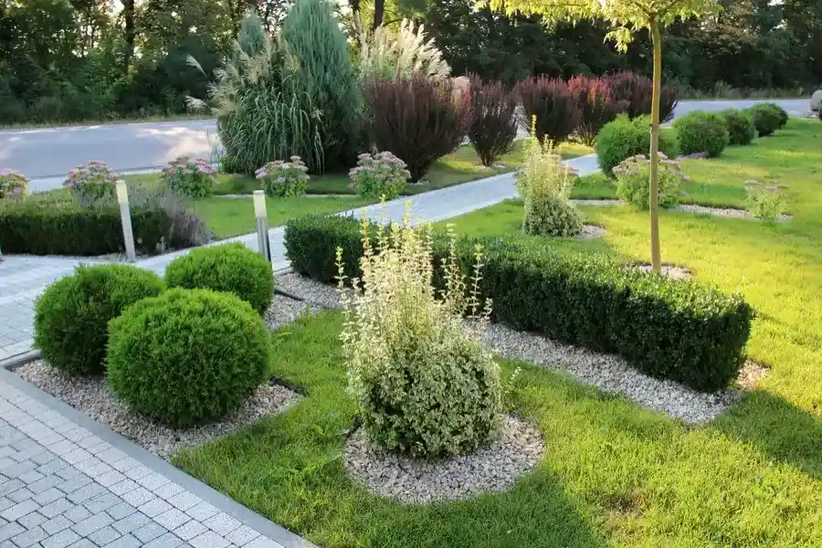 How Proper Maintenance Enhances The Lifespan Of Your Landscape in Santa Rosa, CA