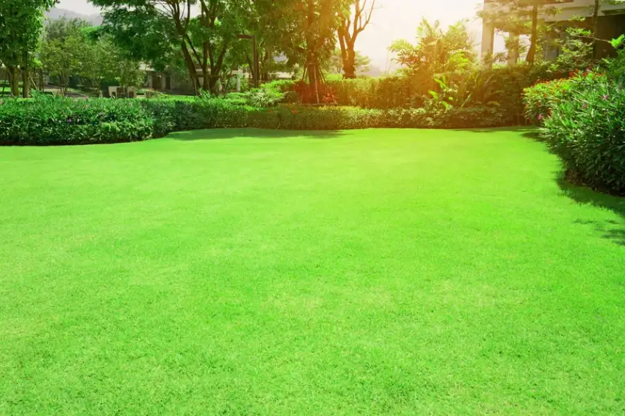 How Regular Landscape Maintenance Improves Property Value Santa Rosa, CA